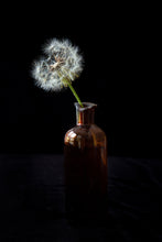 Load image into Gallery viewer, Custom Frame Dandelion No.1, 2020