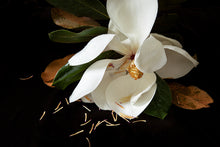 Load image into Gallery viewer, Custom Frame Magnolia No. 3, 2020