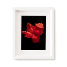 Load image into Gallery viewer, Custom Frame Canna No.1, 2020