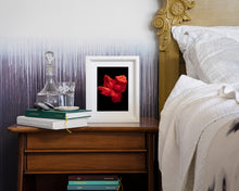 Load image into Gallery viewer, Custom Frame Canna No.1, 2020