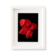 Load image into Gallery viewer, Custom Frame Canna No. 2, 2020