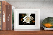 Load image into Gallery viewer, Custom Frame Magnolia No. 3, 2020