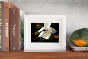 Custom Frame Magnolia No. 3, 2020