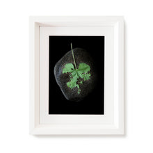 Load image into Gallery viewer, Custom Frame Honeyvine Milkweed No. 3, 2020
