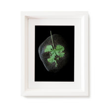 Load image into Gallery viewer, Custom Frame Honeyvine Milkweed No. 3, 2020