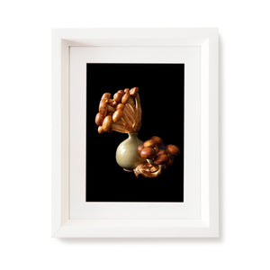 Custom Frame Chestnut Mushroom No. 2, 2020