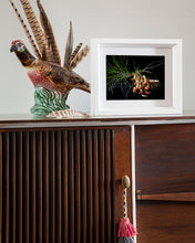 Load image into Gallery viewer, Custom Frame Pine and Chestnut Mushroom, 2020