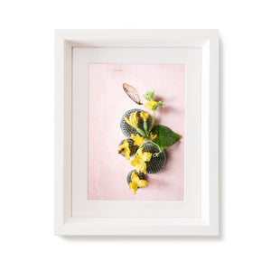 Custom Frame Cucumber Blossom with Cicada and Bee, 2020