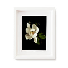 Load image into Gallery viewer, Custom Frame Magnolia No. 2, 2020