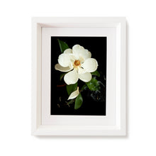 Load image into Gallery viewer, Custom Frame Magnolia No. 1, 2020