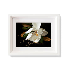 Load image into Gallery viewer, Custom Frame Magnolia No. 3, 2020