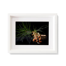 Load image into Gallery viewer, Custom Frame Pine and Chestnut Mushroom, 2020