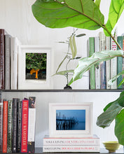 Load image into Gallery viewer, Custom Frame Under the Bougainvillea, Luang Prabang, Laos, 2013