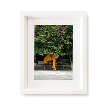 Load image into Gallery viewer, Custom Frame Under the Bougainvillea, Luang Prabang, Laos, 2013