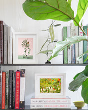 Load image into Gallery viewer, Custom Frame Cherry Harvest, Provence, France, 2016