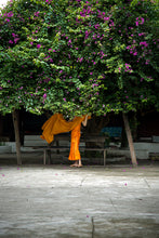 Load image into Gallery viewer, Custom Frame Under the Bougainvillea, Luang Prabang, Laos, 2013