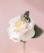 Load image into Gallery viewer, Custom Box Frame Through the Looking Glass No. 1, 2021