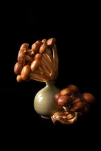 Load image into Gallery viewer, Custom Frame Chestnut Mushroom No. 2, 2020
