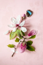 Load image into Gallery viewer, Custom Frame Pink Magnolia, 2020