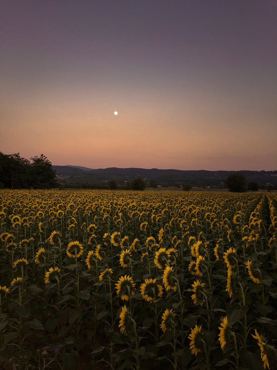 Custom Frame Sunflower and Moonrise, Lacoste, France, 2015