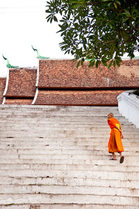 Monk, Luang Prabang, Laos, 2013