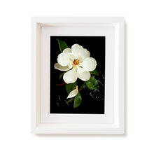 Load image into Gallery viewer, Custom Frame Magnolia No. 1, 2020
