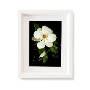 Custom Frame Magnolia No. 1, 2020