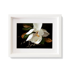 Custom Frame Magnolia No. 3, 2020