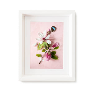 Custom Frame Pink Magnolia, 2020