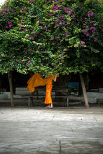 Load image into Gallery viewer, Custom Frame Under the Bougainvillea, Luang Prabang, Laos, 2013
