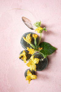 Cucumber Blossom with Cicada and Bee, 2020